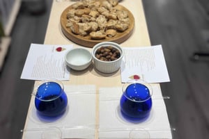 Atenas: Experiencia de cata de aceite de oliva cretense