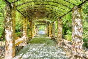 Tour Instagram di Atene: I luoghi più suggestivi