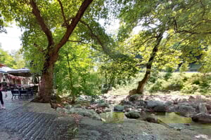 Athene van/naar de berg Olympus: Privé transfer