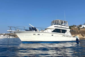 Dagliga och veckovisa kryssningar i Aten Riviera och Saronic