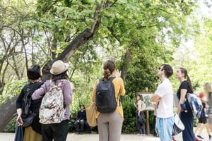アテネ国立庭園でハーブの世界を発見してください。