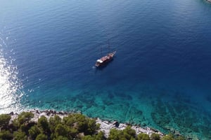 De Atenas: Aegina, Agistri e Metopi Day Cruise com almoço
