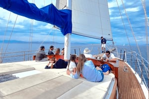 アテネ発：アギストリ、モニ、アイギナ島 日帰りクルーズ (水泳付き)