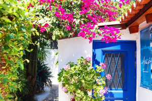 Halve dagtour in Athene