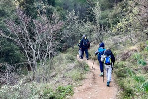 Mount Ymittos Byzantine Trail Hike - Private