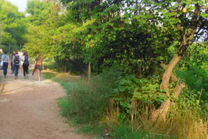 Mythical Rivers & Hills of Athens 3-Hour Walking Tour