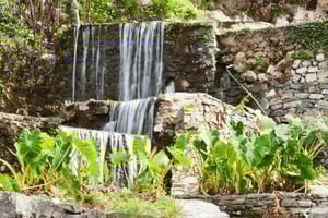 Off-road: naturalne jezioro, górskie wąwozy, las palmowy i plaża