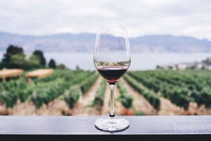 アテネでのプライベートワインテイスティング体験