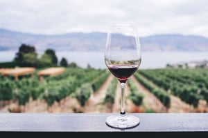Private Wine Tasting Experience in Athens