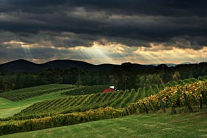 Z Atlanty: North Georgia Wine Country Tour
