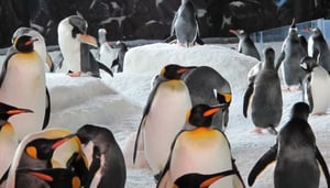 Barnvänliga saker att göra i Auckland