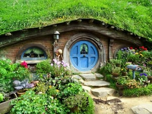 Auckland & Beyond Tours