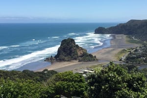 Auckland: Coast to Coast Private Eco Tour