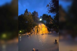 Tag med på tur til varme kilder og helbredende vand i Auckland