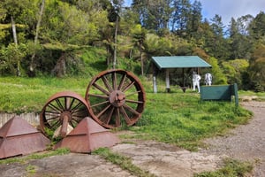 Auckland: Karangahake Gorge e Waihi Gold Explorer Tour