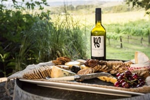 Auckland: Luksuriøs privat mat-, kunst- og vintur i Matakana