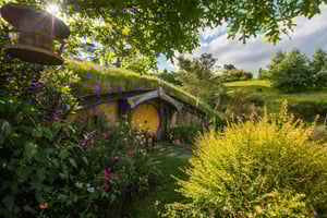 Auckland: Privat tur til Hobbiton-filmsettet og Waitomo-grottene