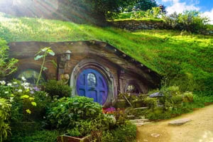 Auckland Private Transfer to Hobbiton and Blue Springs