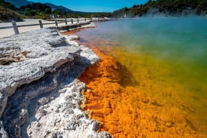 Auckland : Rotorua, Wai-O-Tapu, Te Puia et Haka