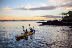 Auckland Sea Kayaks