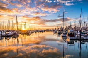 Auckland: Sightseeing Full or Half Day Tour with Mount Eden