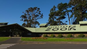 Auckland Zoo Functions