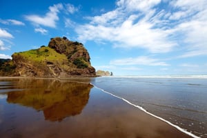 Bethells Beach