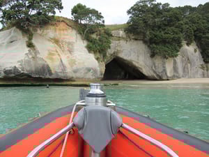 Cathedral Cove Scenic Cruises