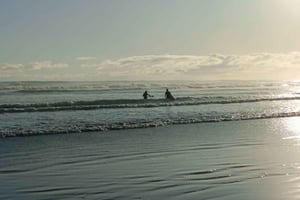 “Cidade, Costa e Campo” – Um passeio relaxante de um dia saindo de Auckland