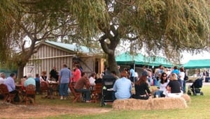 Clevedon Village Farmers' Market