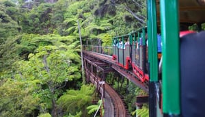 Driving Creek Railway og Potteries