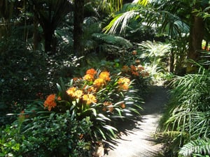Eden Garden