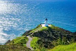 From Auckland: 6-Day Northland Tour with German Guide