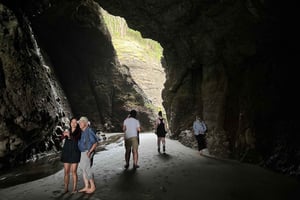 Da Auckland: Tour guidato a Piha con passeggiate panoramiche sulla spiaggia