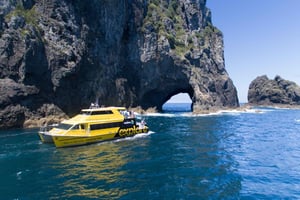 Vanuit Auckland: cruise naar Hole in the Rock