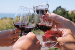 Butikowe doświadczenie: najlepsza wycieczka po winiarniach na wyspie Waiheke