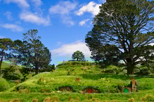 Au départ d'Auckland : Visite en bus de Waitomo et Hobbiton avec déjeuner