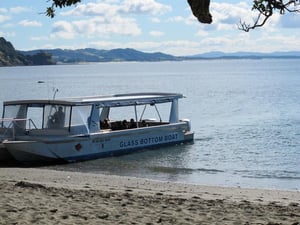 Glass Bottom Boat