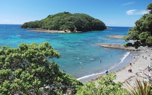 Goat Island Marine Reserve