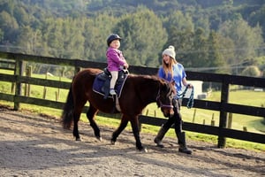 Kiwi Valley Farm Park