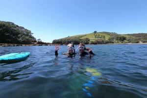 Goat Island Guided Snorkeling Tour for Beginners