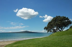 Narrow Neck Beach