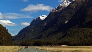 NZ Car Rentals