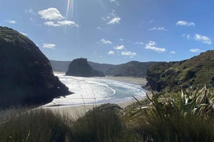 Piha & Karekare - Out of Auckland Private Tour