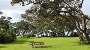 Shakespear Regional Park