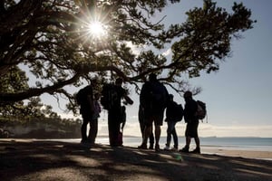 Social Nature Movement - Team Building