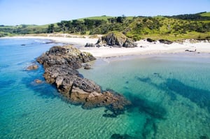 Tawharanui Regional Park