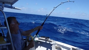 The Serious Fishing Company