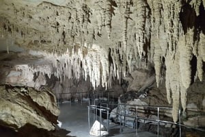 TrioDEAL: MilkyWay GLOWWORM Cave, kiwifugl og Whangarei Falls