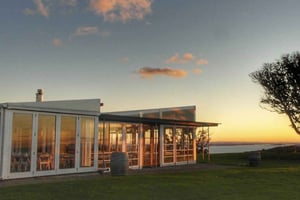 Waiheke Island: Wine Tour & Lunch at Award Winning Venue